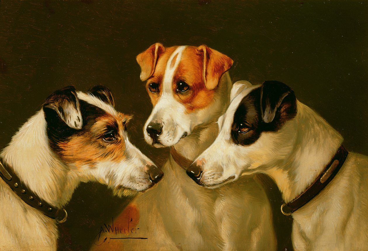 The Hounds by John Alfred Wheeler