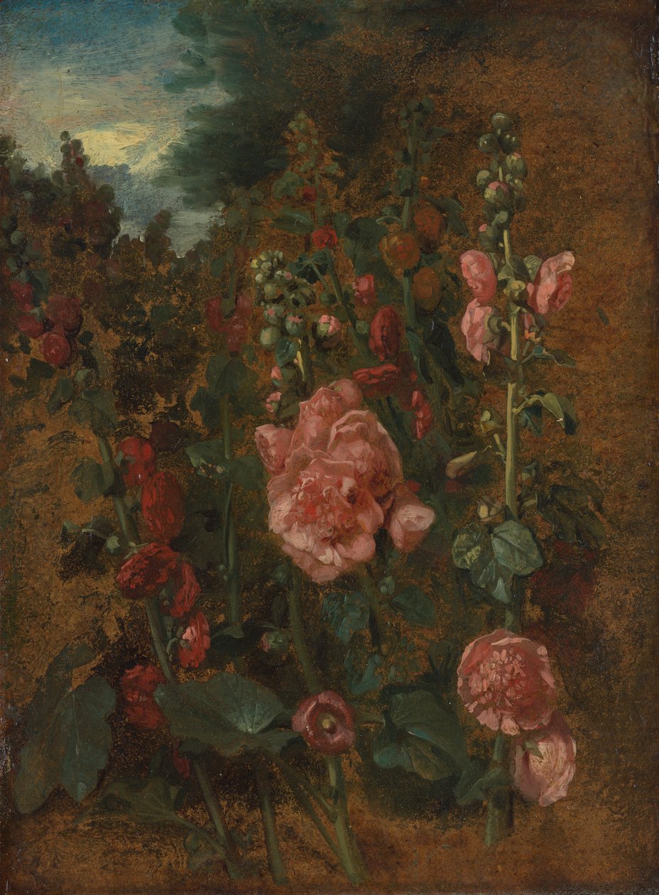 Study of Hollyhocks by John Constable