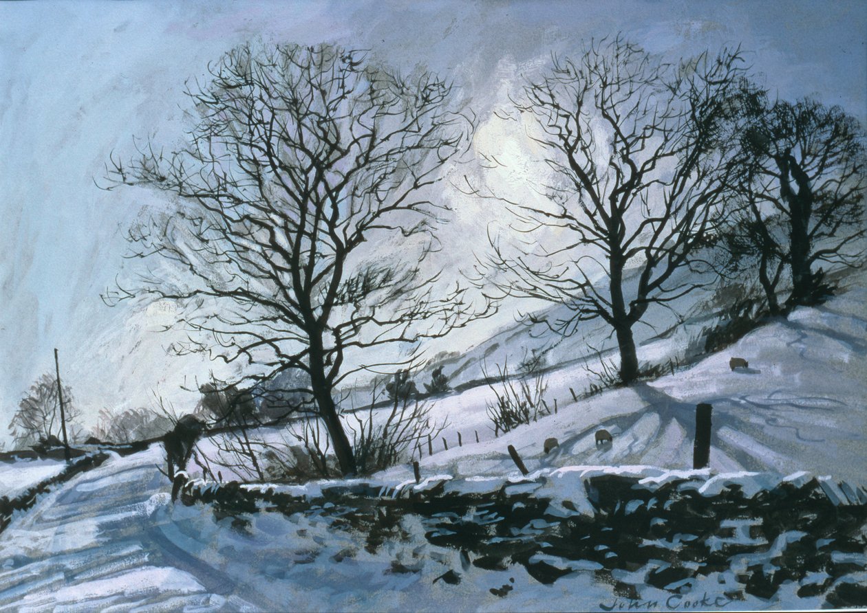 Winter Afternoon in Dentdale by John Cooke