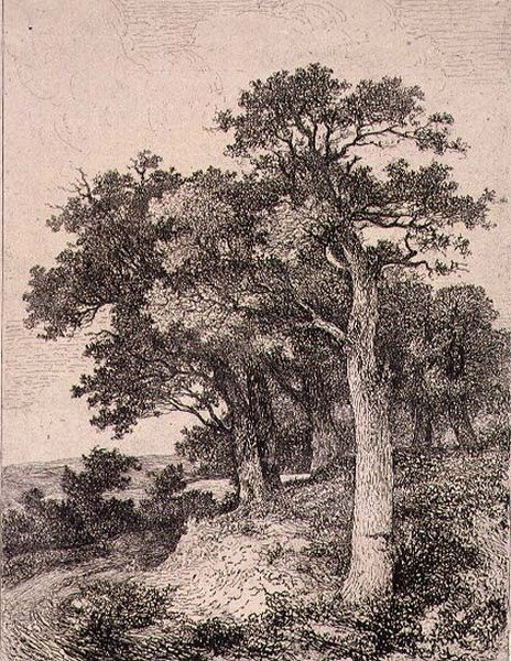 At Colney, pub. by J. & W. Freeman by John Crome