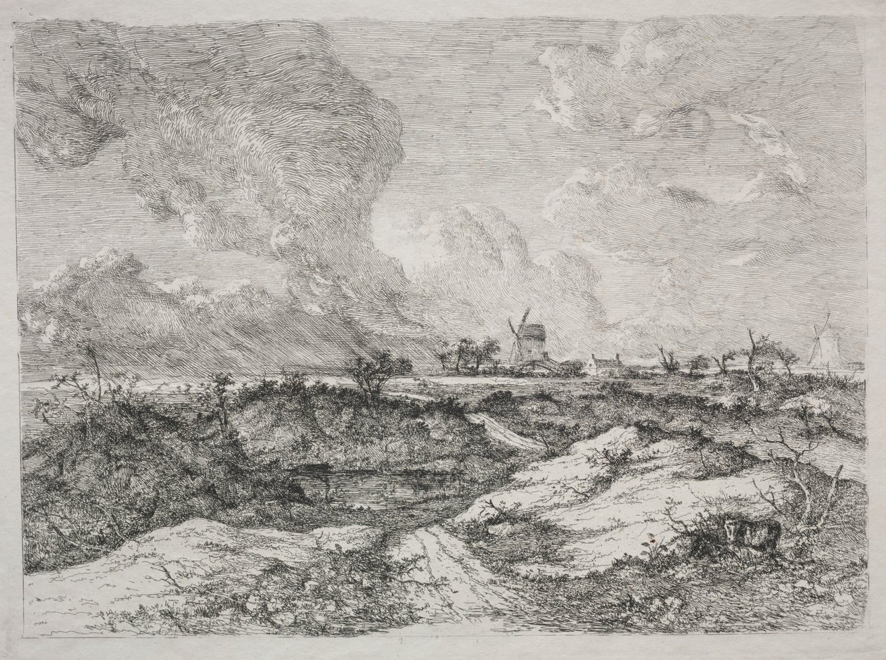 Mousehold Heath by John Crome