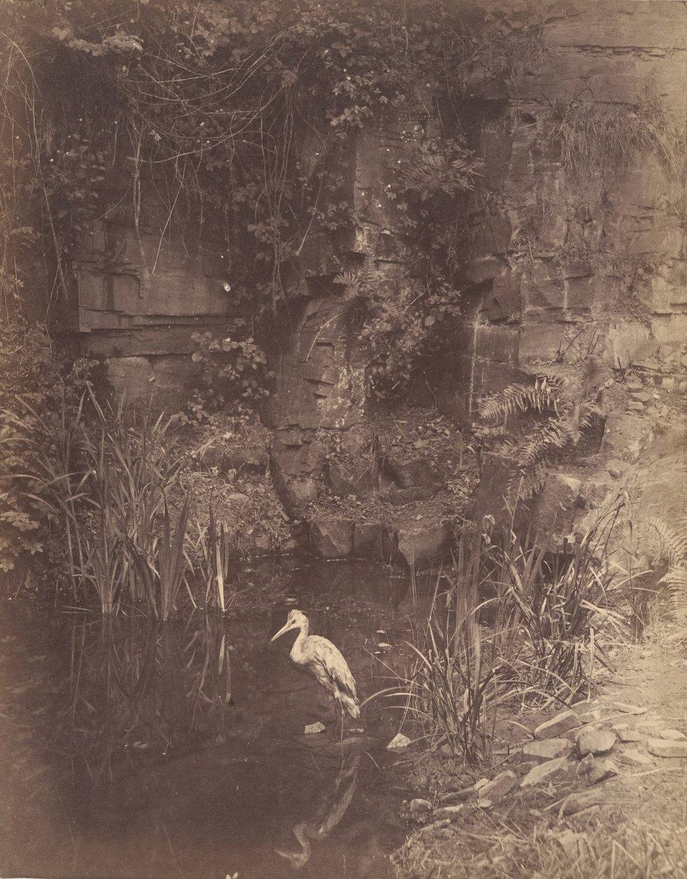 Piscator, No. 2 by John Dillwyn Llewelyn