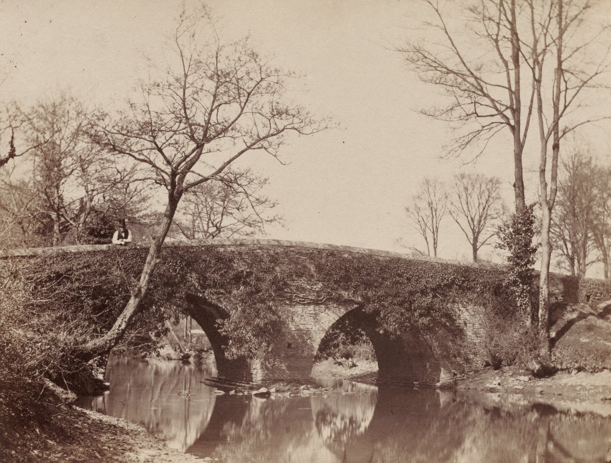 The Country Bridge by John Dillwyn Llewelyn