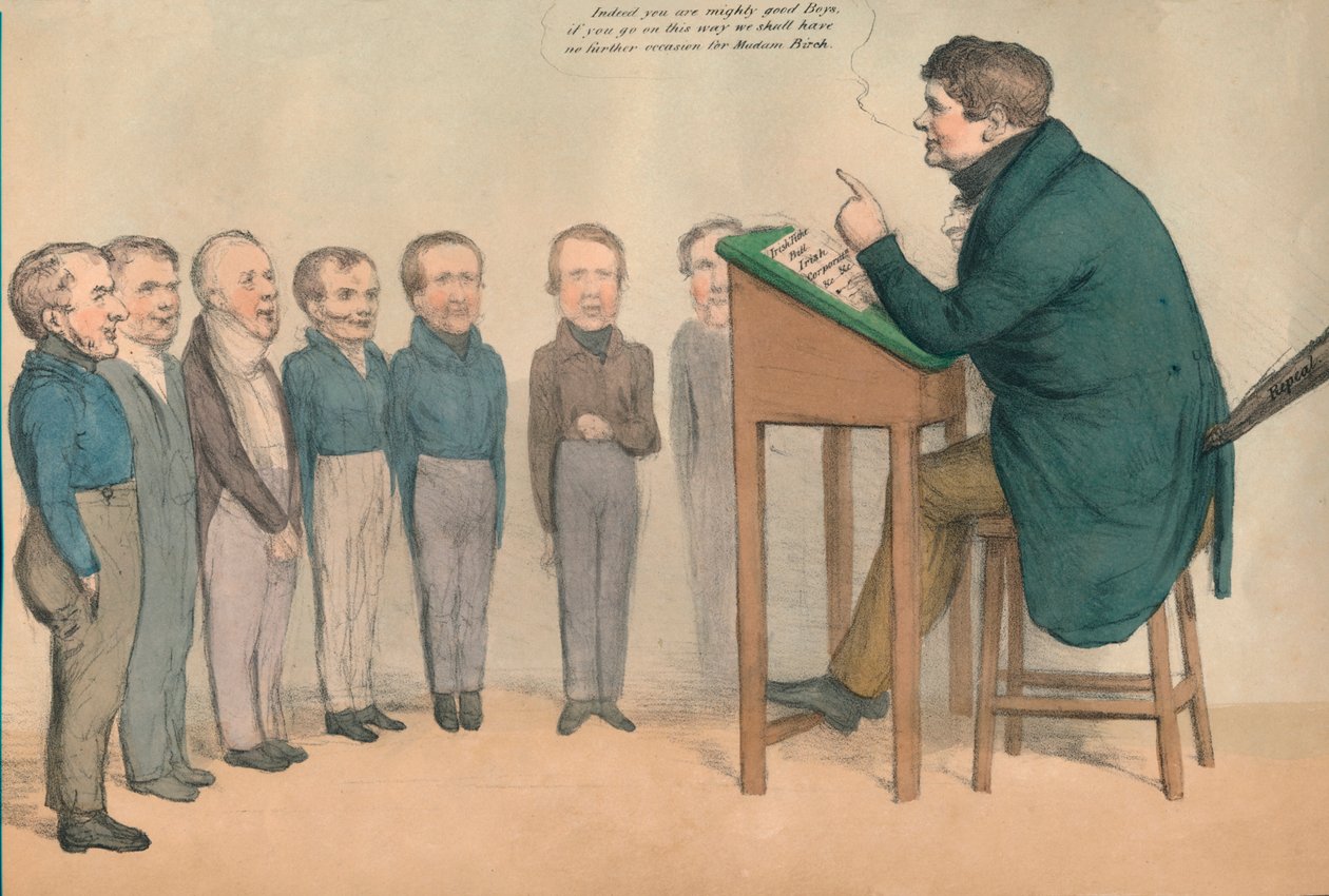 The Irish Tutor by John Doyle