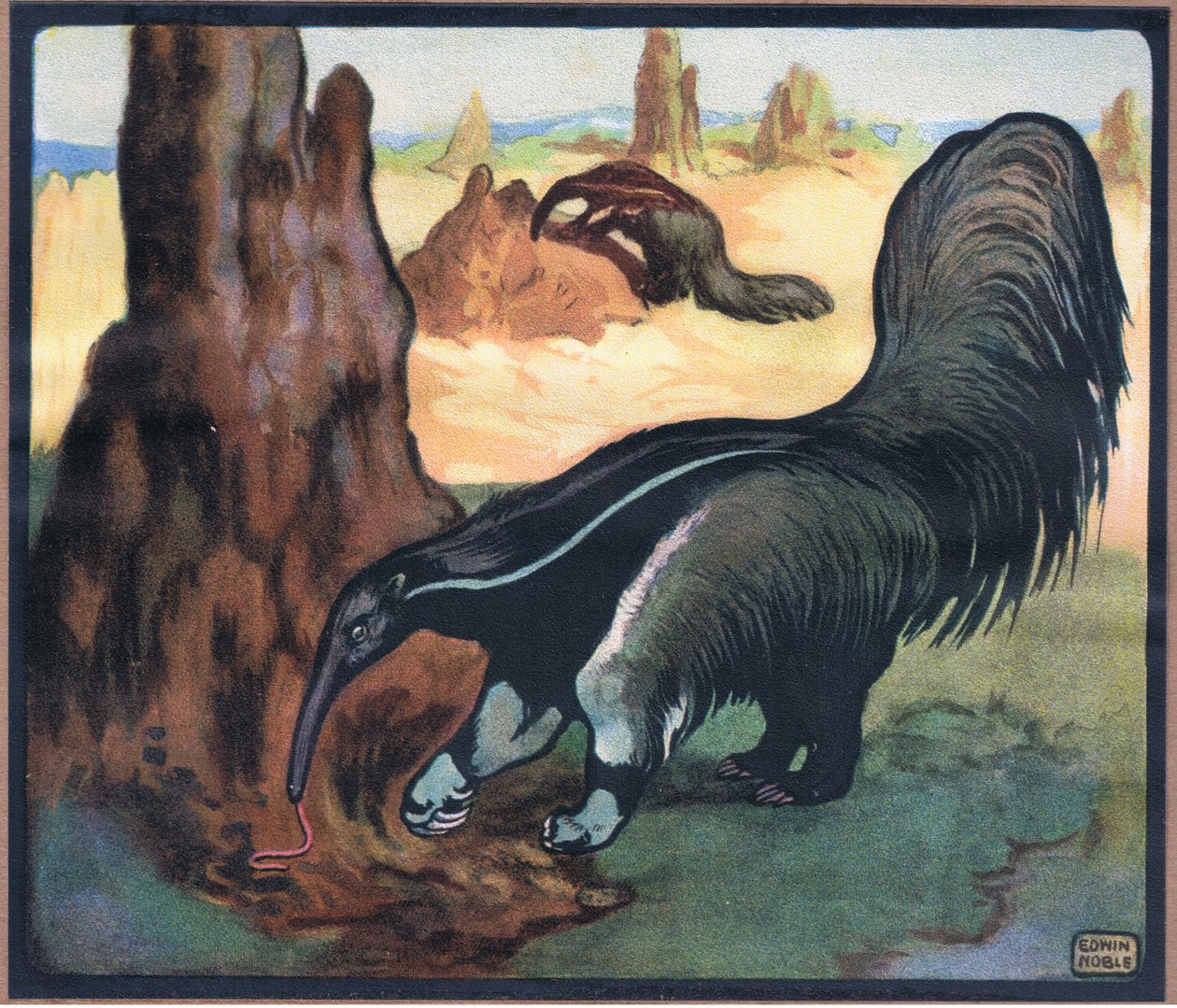 Anteater by John Edwin Noble
