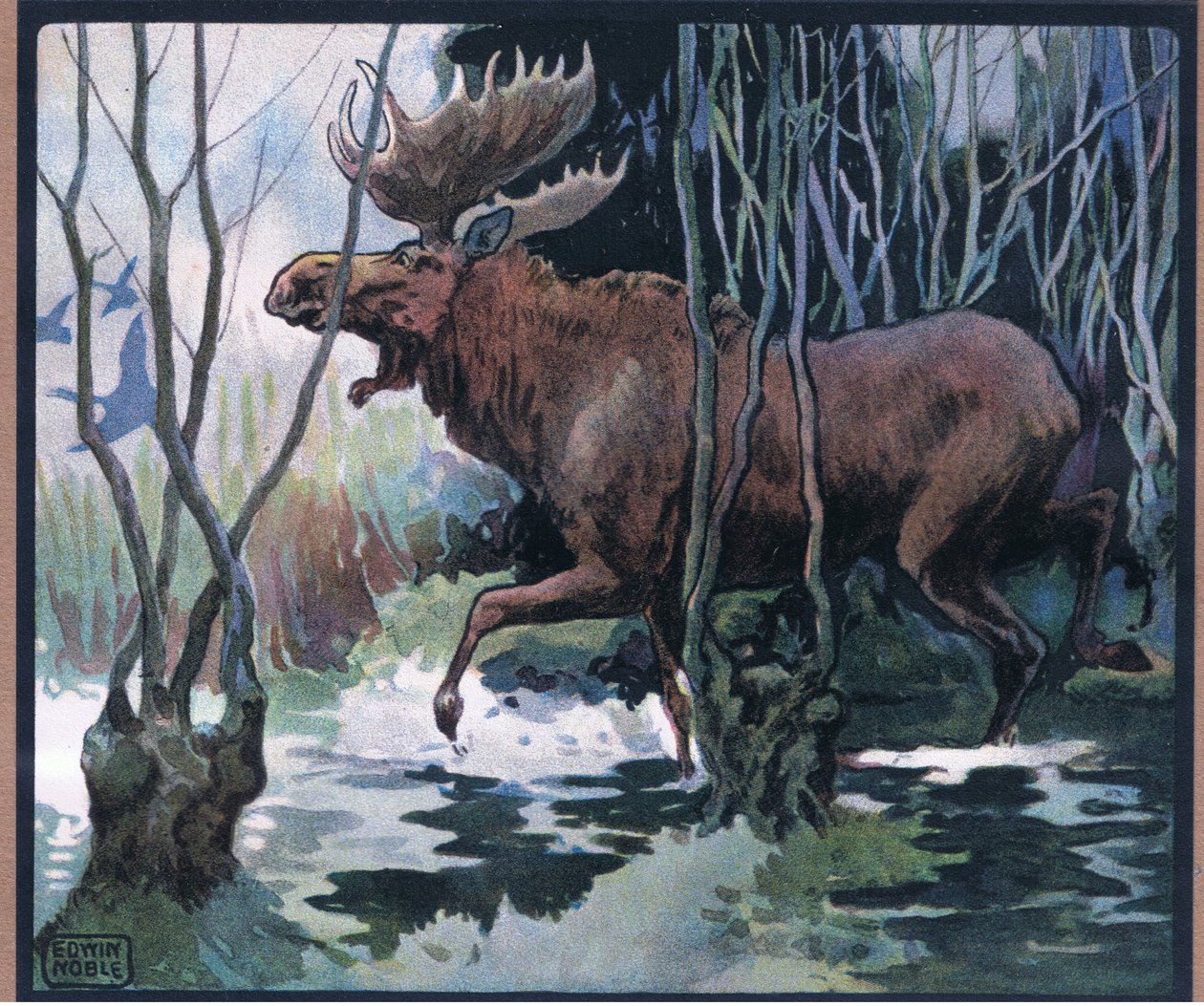 Moose by John Edwin Noble