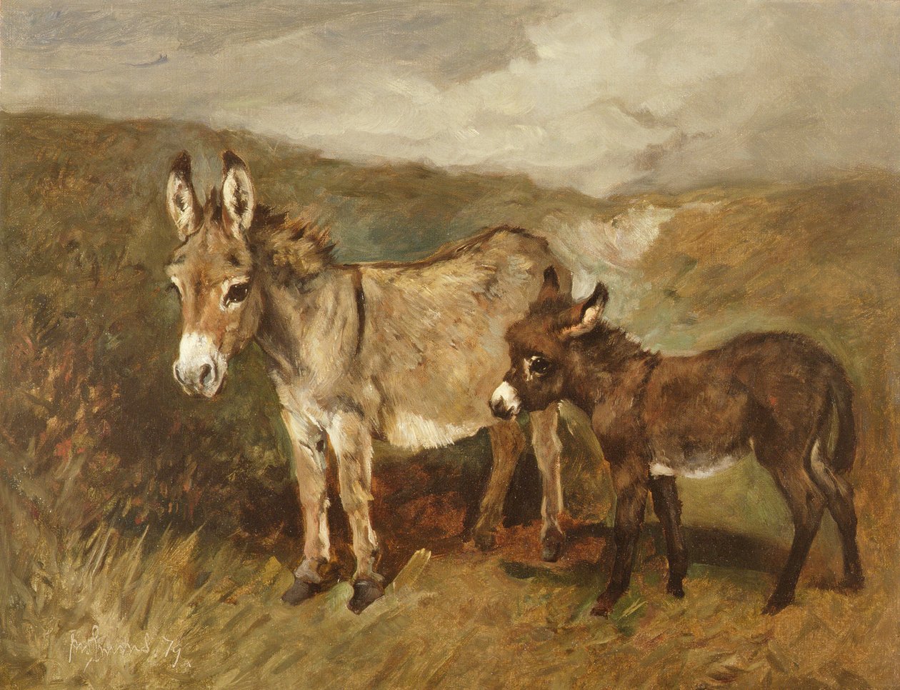Donkeys out on the Moor, c.1890 by John Emms