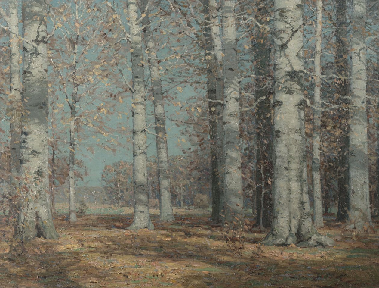 Autumn Beeches by John Fabian Carlson