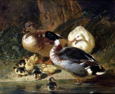 Ducks and Ducklings by John Frederick Herring Senior