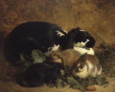 Rabbits by John Frederick Herring Senior