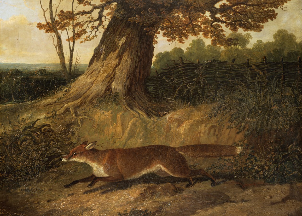 Unknown Image by John Frederick Herring Senior