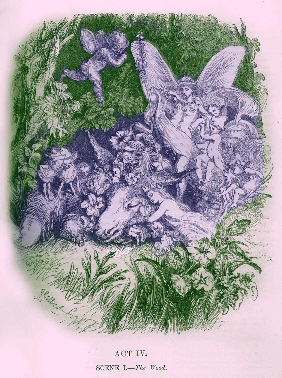 A Midsummer Night