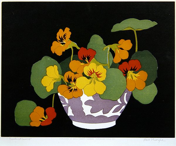 Nasturtiums by John Hall Thorpe