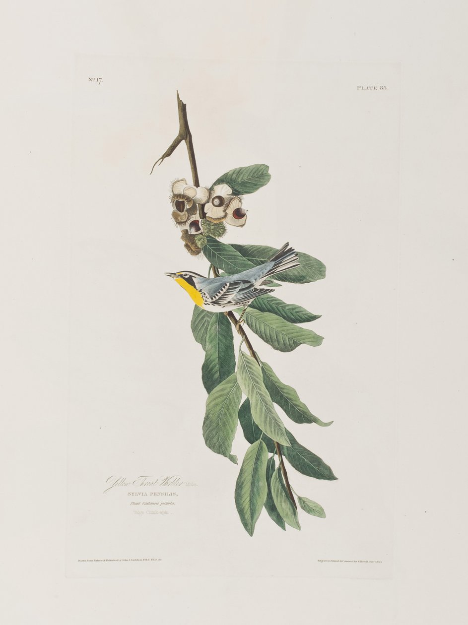 Illustration from 