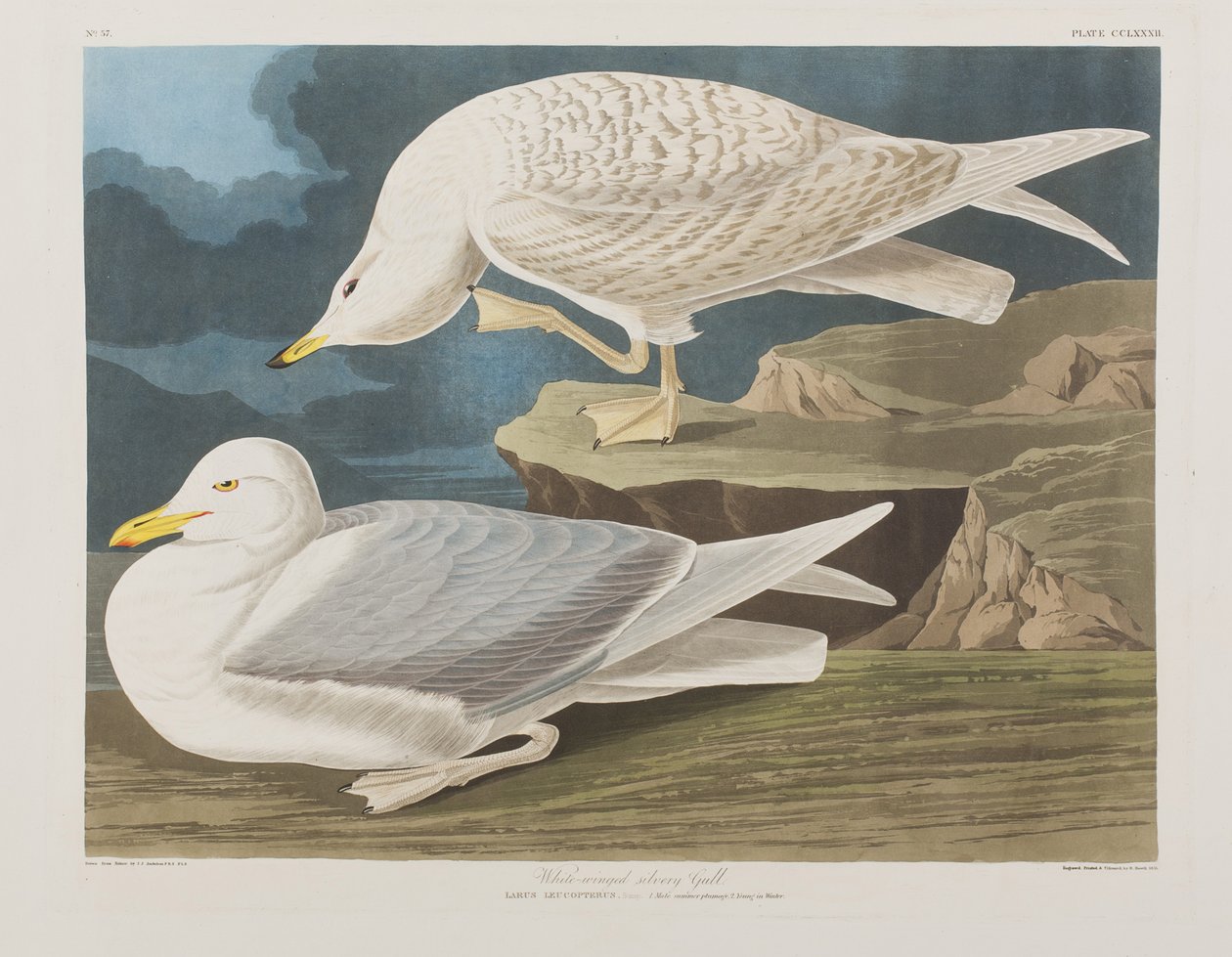 Illustration from 