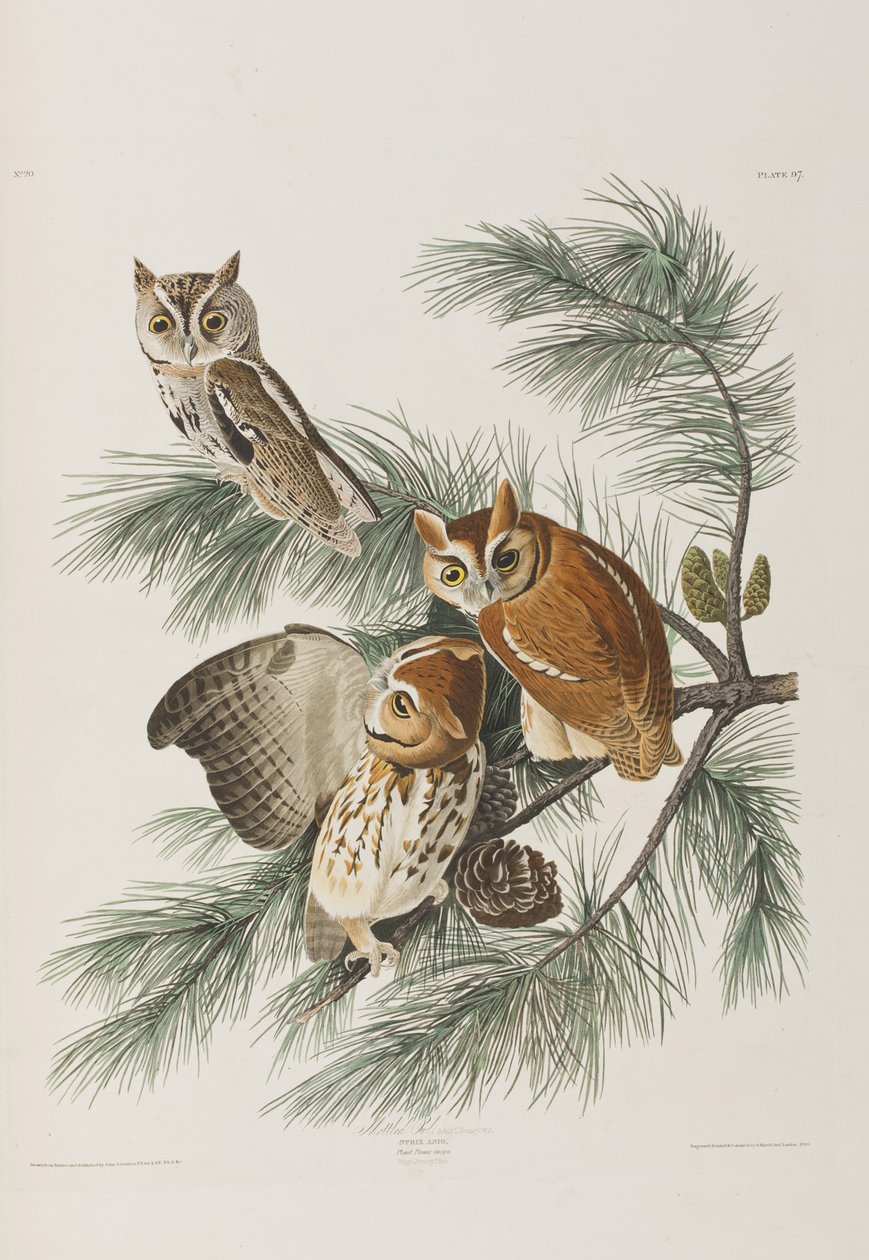 Illustration from 