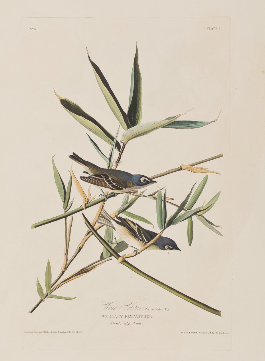 Illustration from 