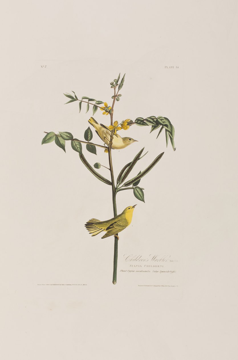 Illustration from 