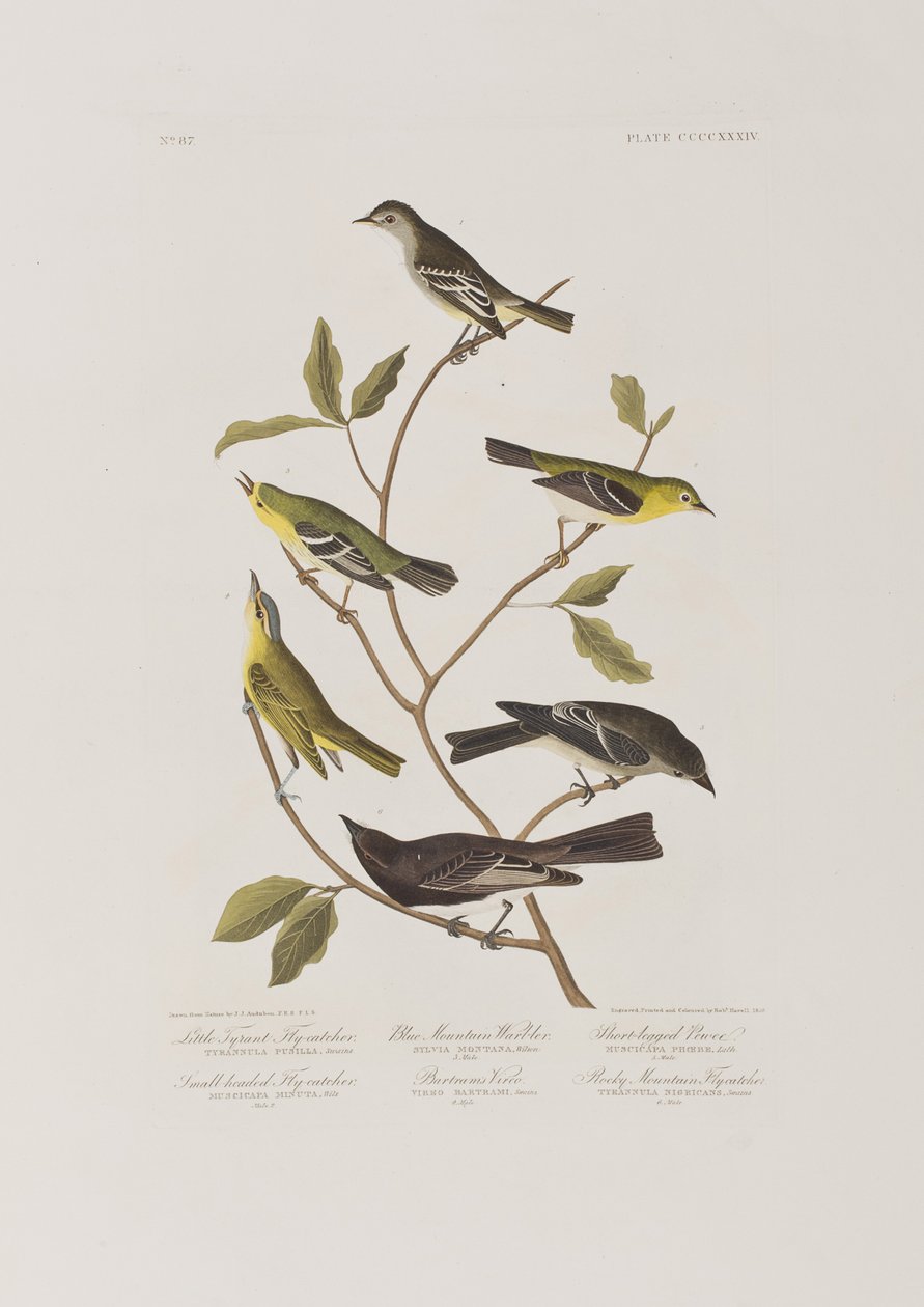 Illustration from 