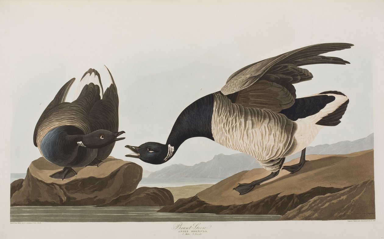 Illustration from 