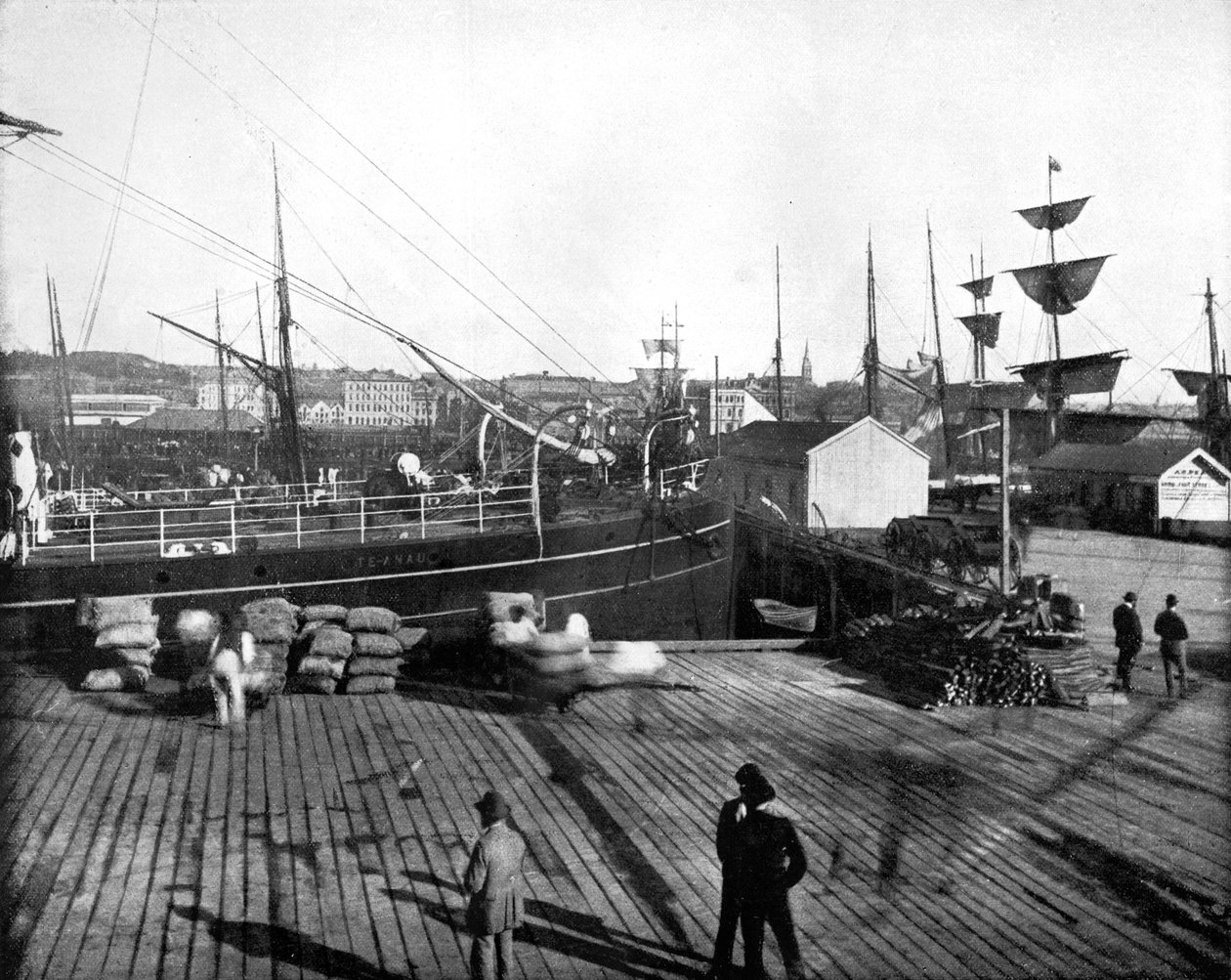 Harbour of Auckland, New Zealand, 1893 by John L. Stoddard