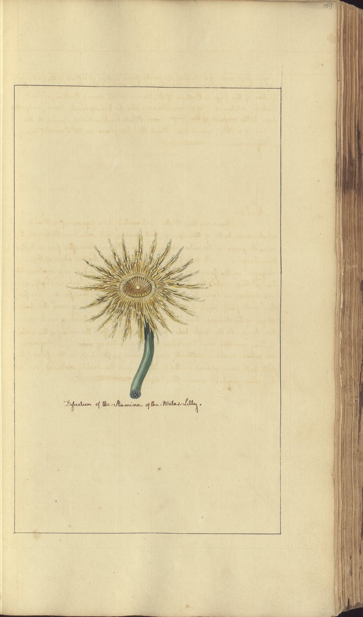 A page from the 