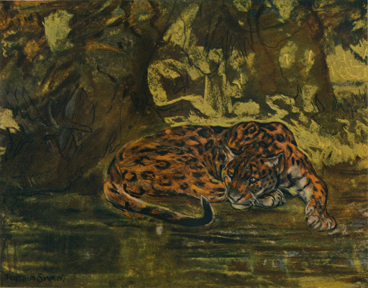 A Jaguar by John Macallan Swan