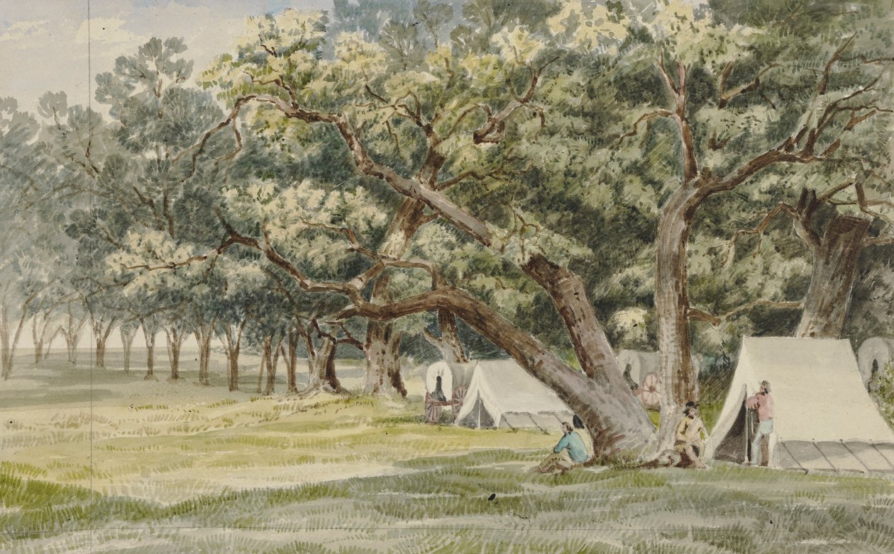 A Cottonwood Grove by John Mix Stanley