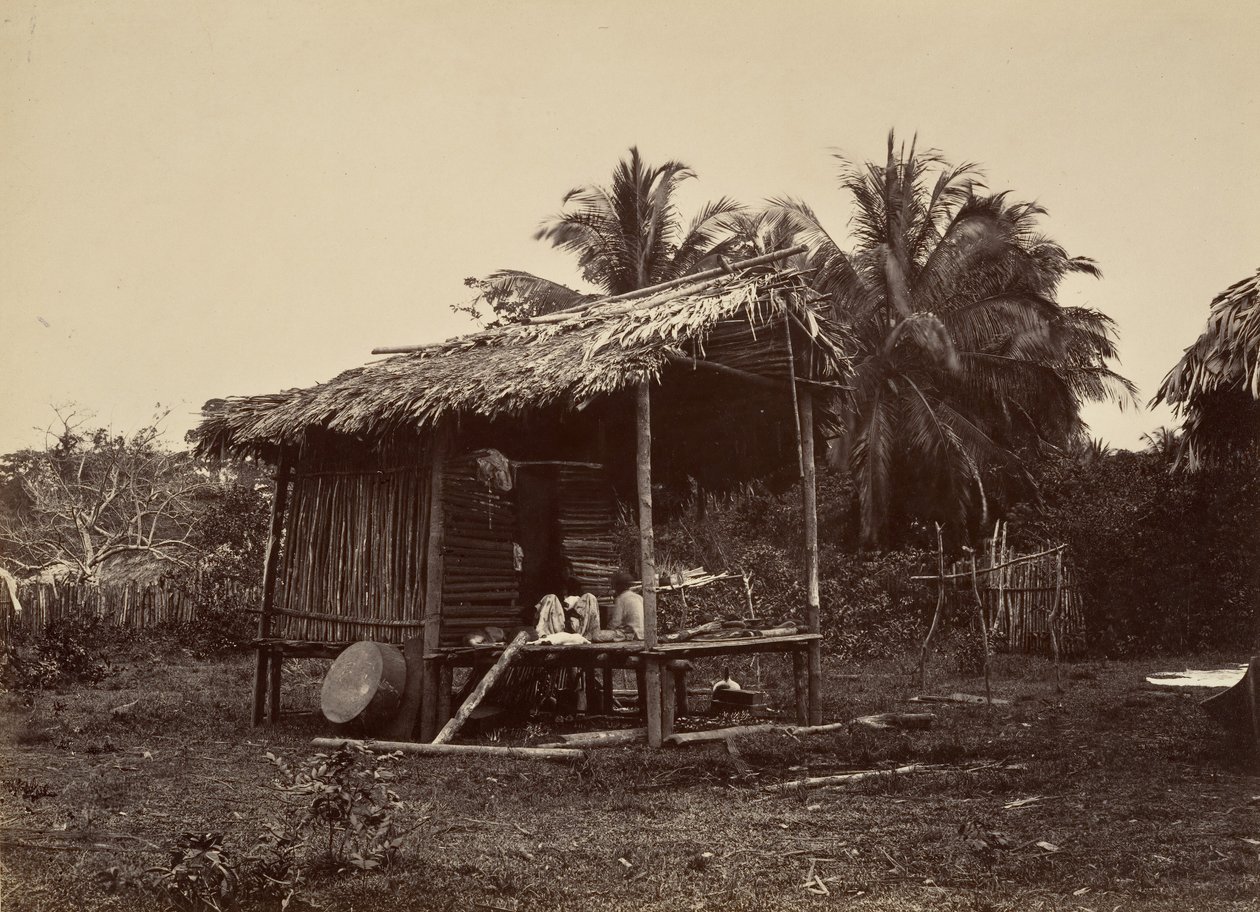 Tropical Scenery, Native Hut, Turbo by John Moran