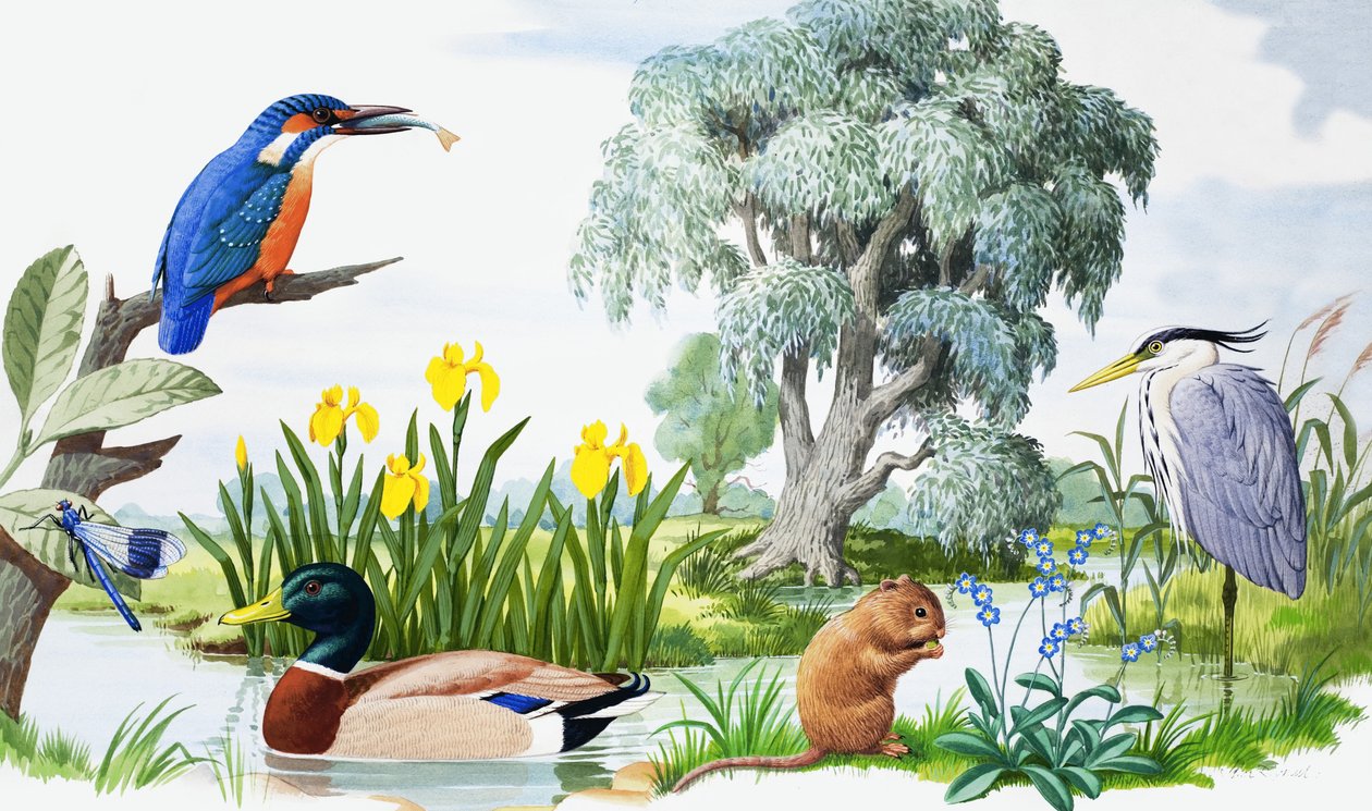 By the Stream by John Rignall