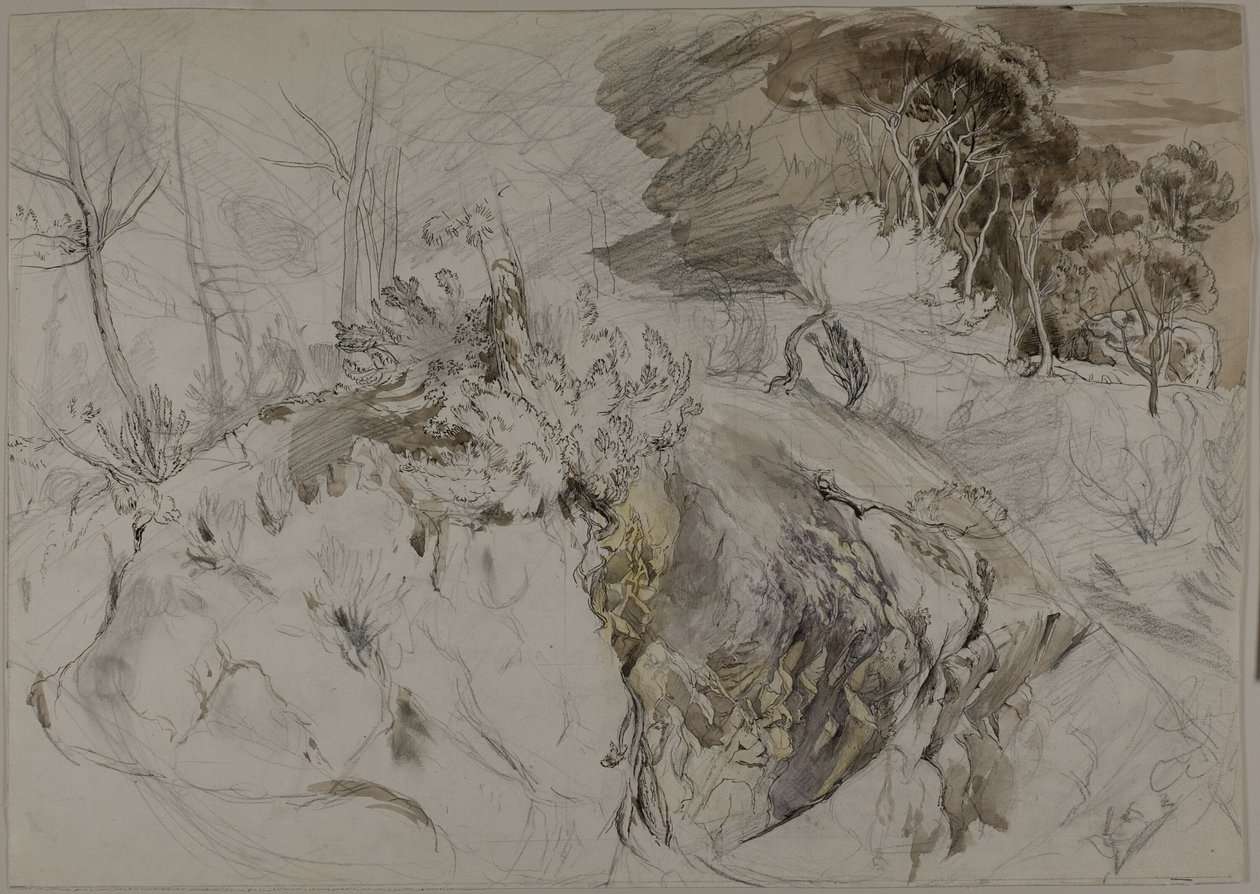 Shrubs and Trees in Rocky Landscape by John Ruskin