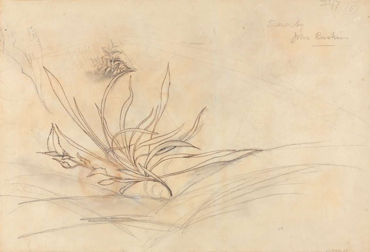 The Rocky Bank of a River by John Ruskin