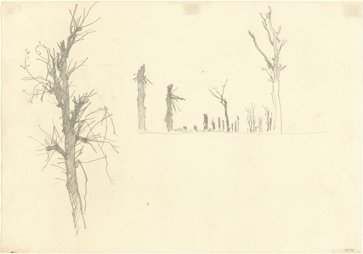 Devastated Trees (detail) by John Singer Sargent
