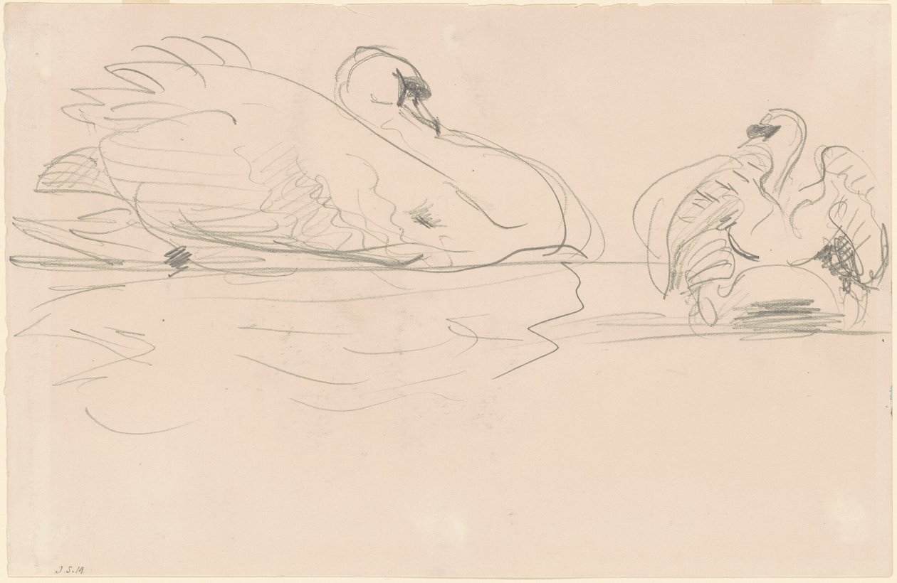 Swans in the Water by John Singer Sargent