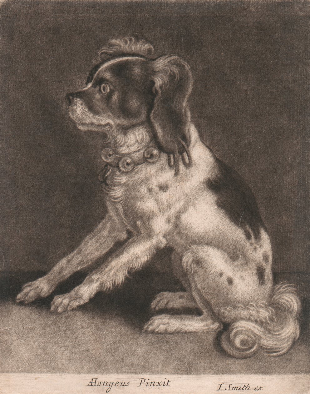 A Dog with A Belled Collar by John Smith