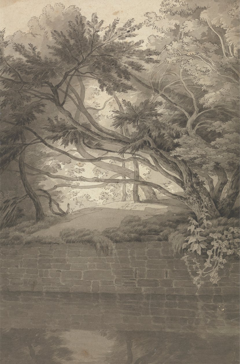 Trees Overhanging a Lake by John White Abbott