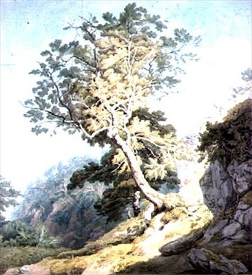 View Near Canonteign, Devon by John White Abbott