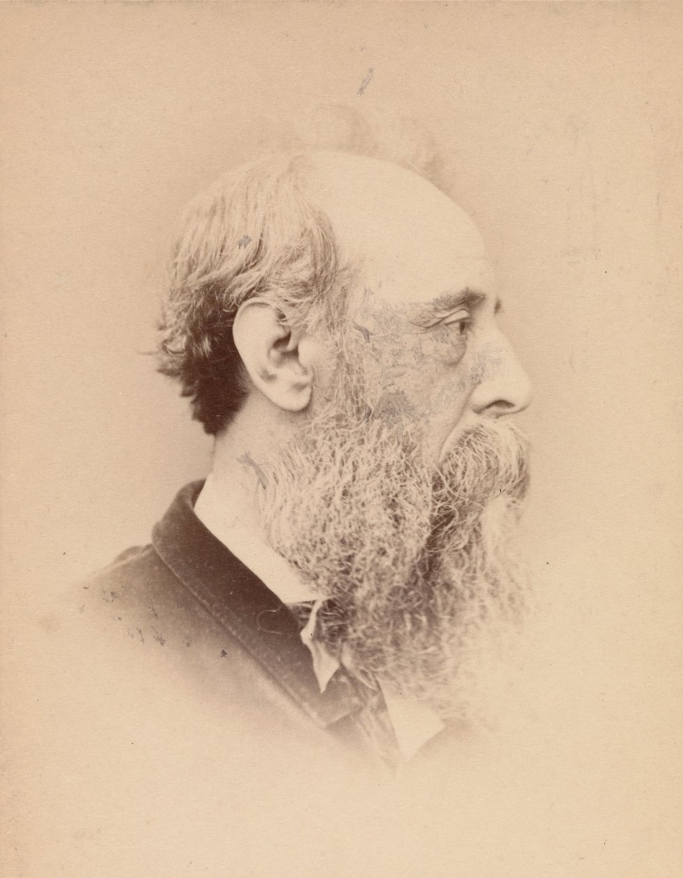 George Frederick Watts by John and Charles Watkins