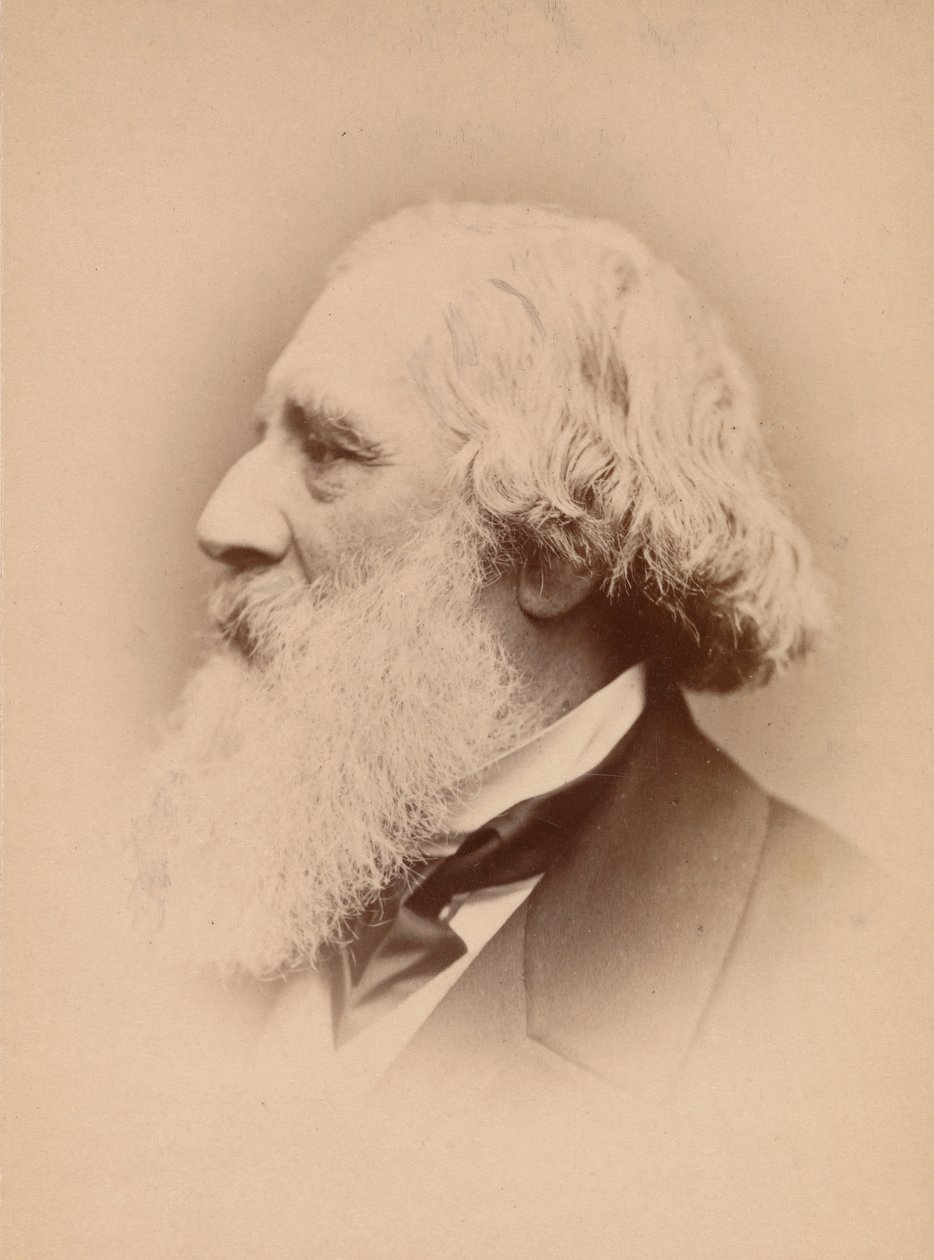 John Frederick Lewis by John and Charles Watkins