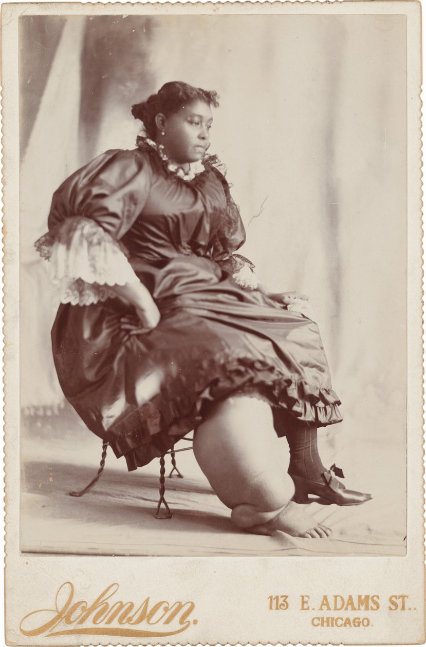 Portrait of a Woman, c. 1890 by Johnson