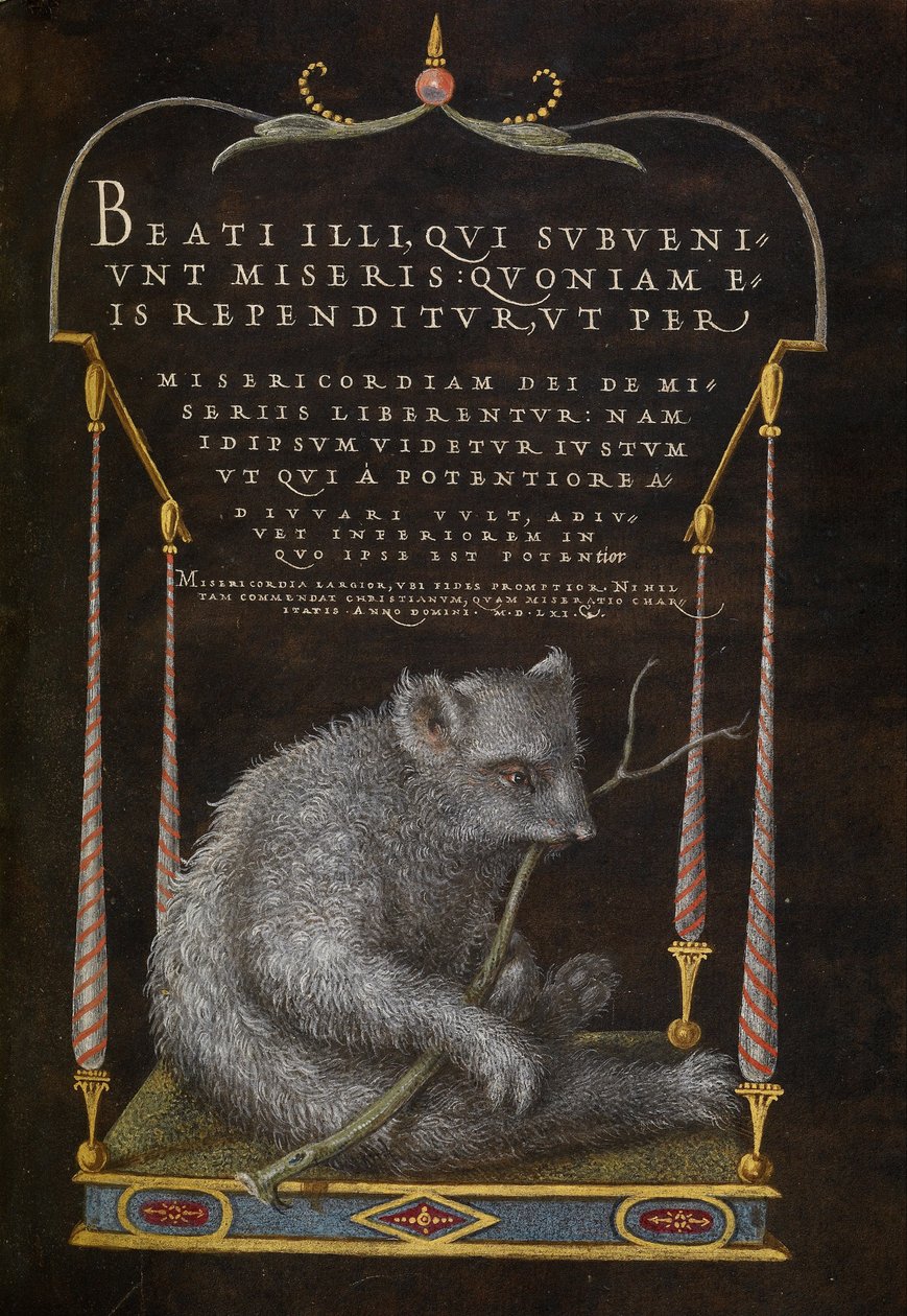A Sloth by Joris Hoefnagel