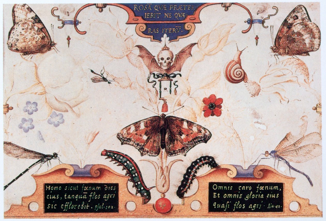 Diptych with Flowers and Insects by Joris Hoefnagel