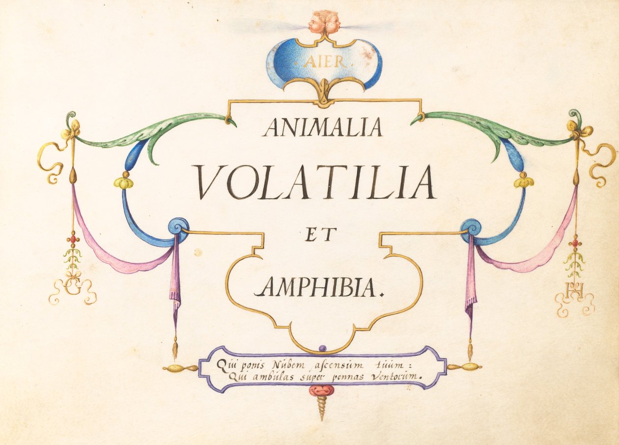 Title Page by Joris Hoefnagel