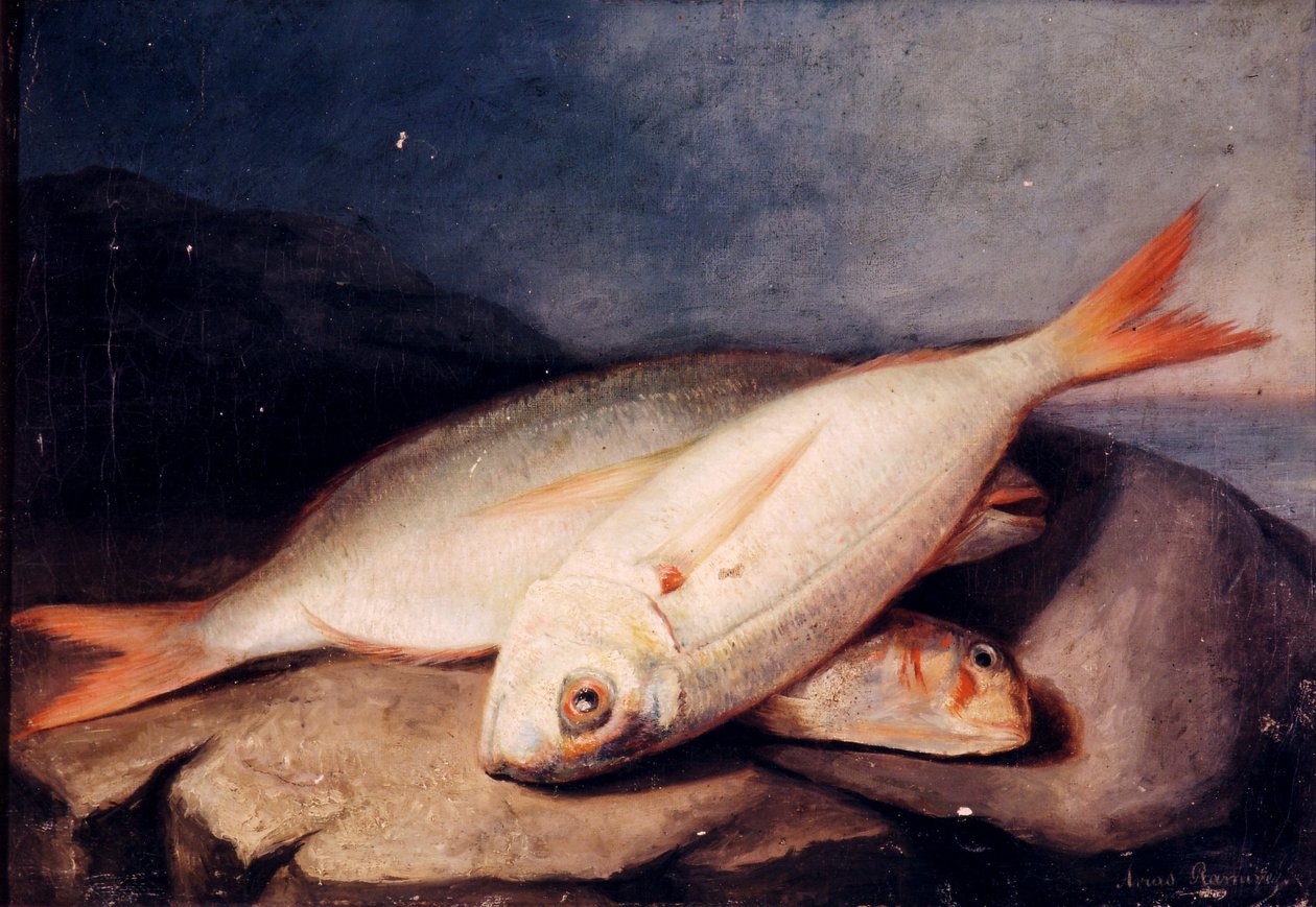 Still Life with Fish by José Arias Ramírez