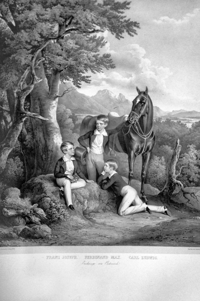 Franz Josef I. with Brothers by Josef Kriehuber