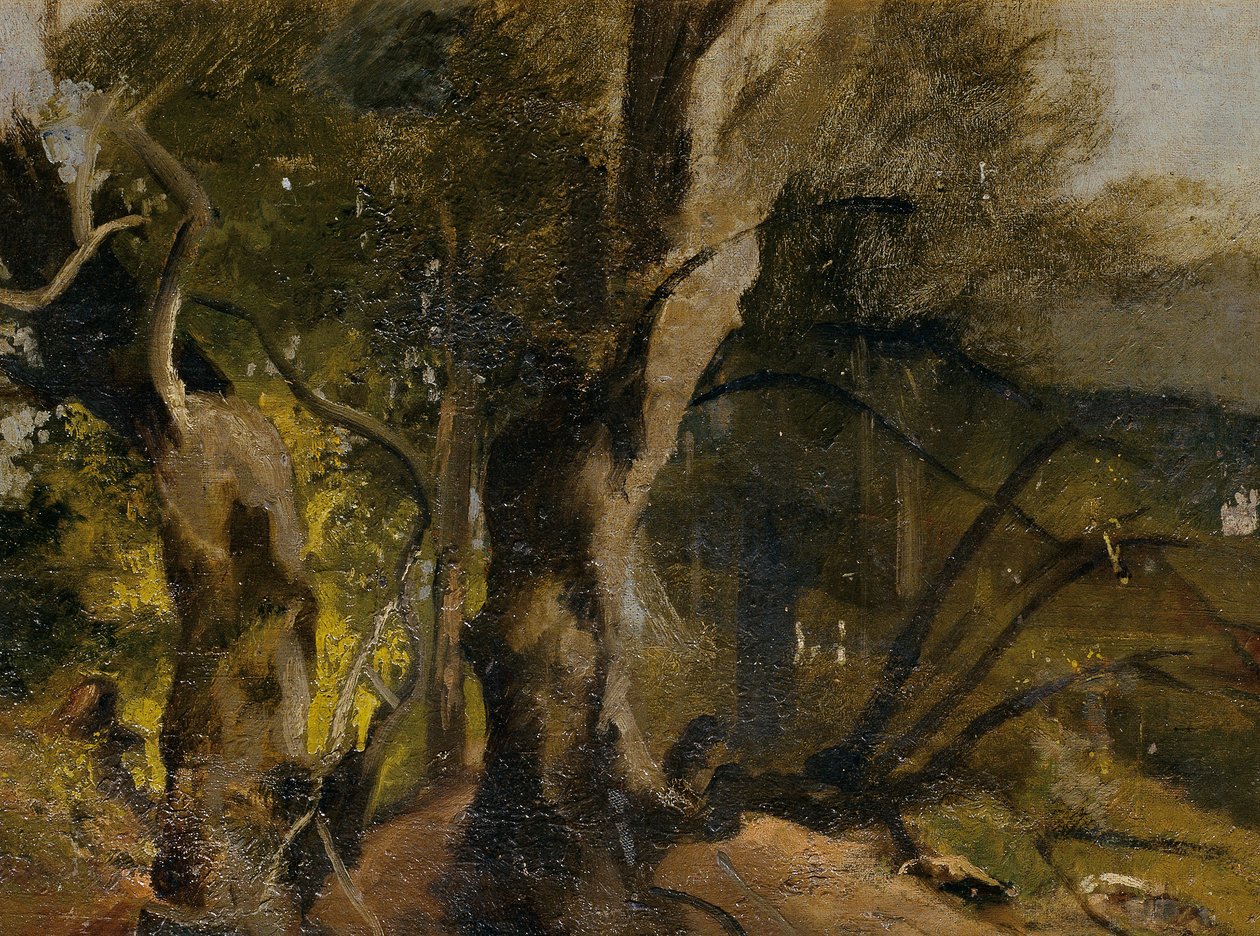 Forest Study by Josef Navrátil