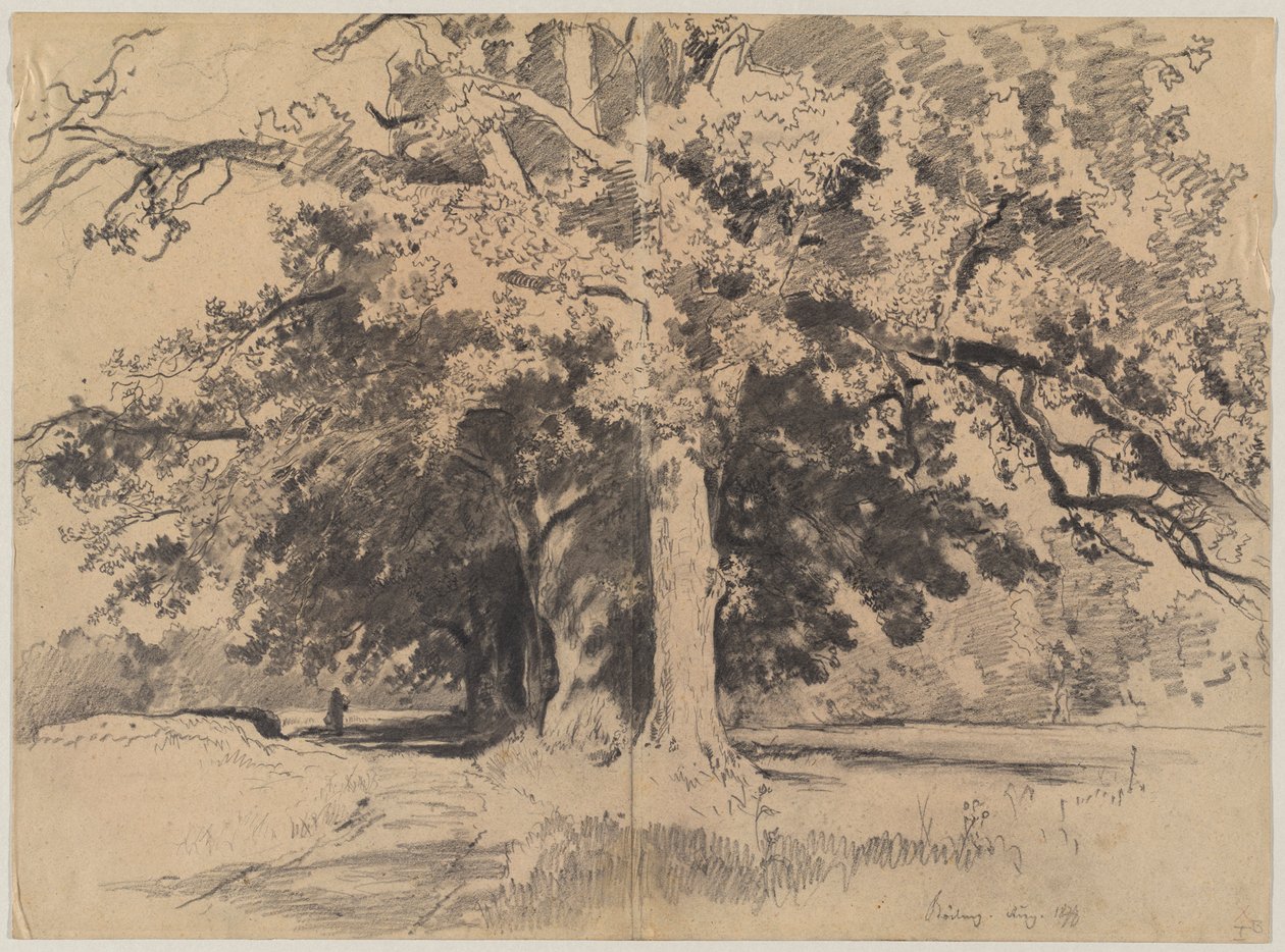 Tall Trees near Böding by Josef Wenglein