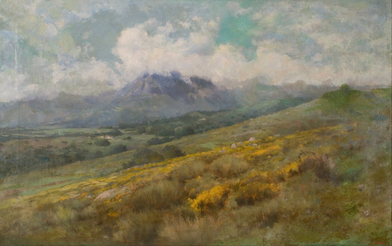 Landscape by Josep Berga Boix