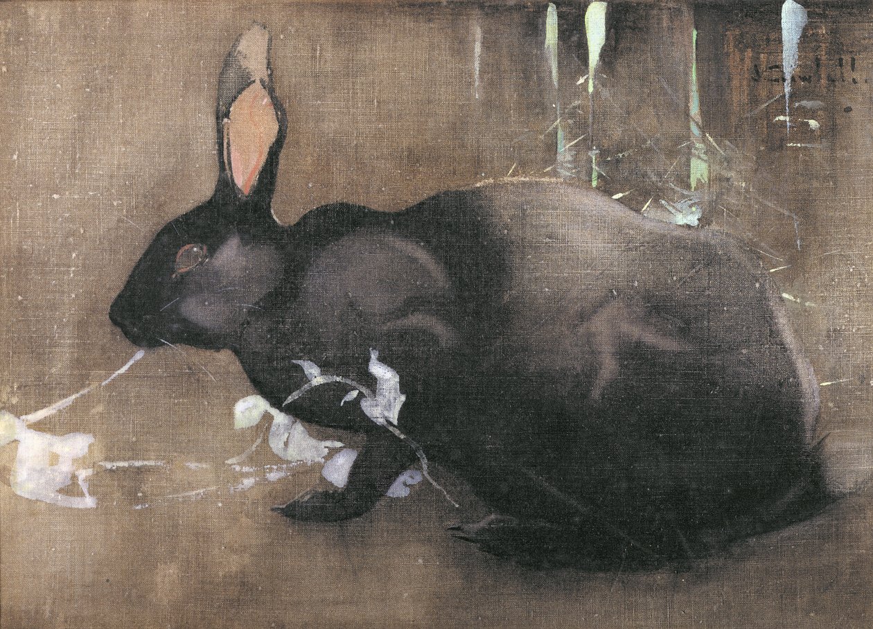 A Black Rabbit by Joseph Crawhall