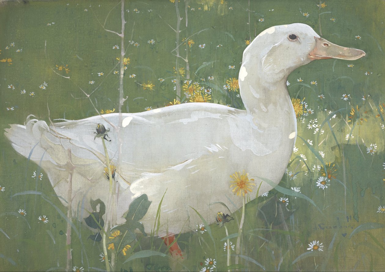 The White Drake by Joseph Crawhall